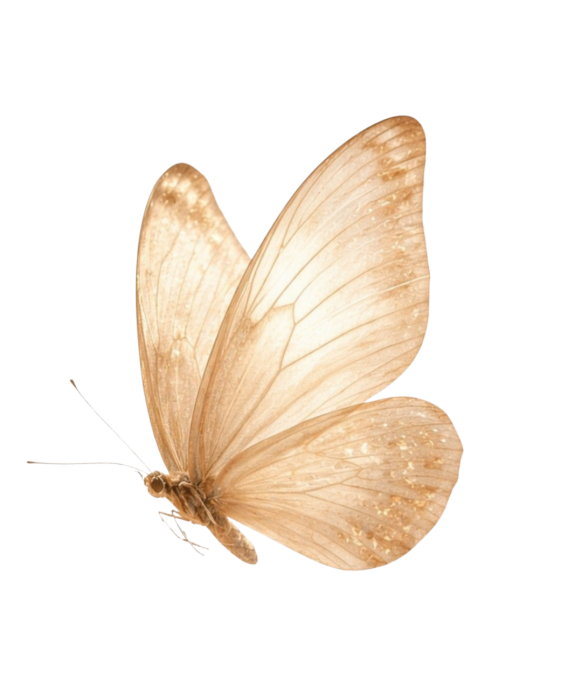 tranforma;ao-borboleta-menor